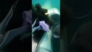 Full Process of Catching Eels, Crabs & Sea Cucumbers Underwate