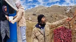 Wild Barberry Harvest in the Majestic Mountains