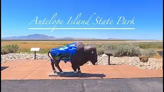 Antelope Island State Park | Great Salt Lake Utah | Bison | Buffalo | Wandering Wassoms - S1.E21
