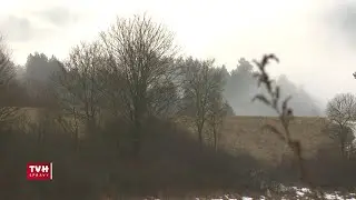 Slab&aacute; zima vyhovuje divej zveri