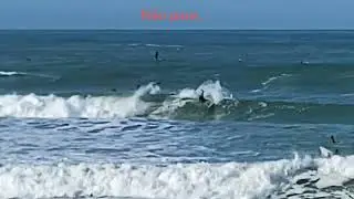 Surf Report 5w aloha n8