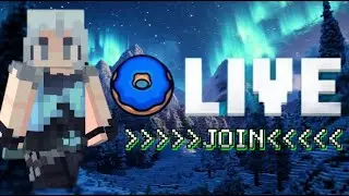 Donut SMP Live Stream! - Rating Bases - Gambling