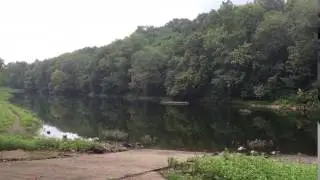 Video of Tailwater Below Dam  - Barren River Lake, KY from Shelly S.