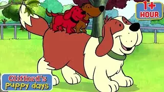 Puppy Dog Power | Clifford’s Babysitting Adventure | Clifford's Puppy Days | 9 Story Kids