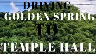 DRIVING CONSTANT GOLDEN SPRING to TEMPLE HALL-ST. ANDREW || JAMAICA-