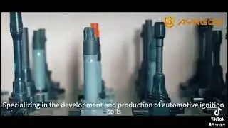 Ayrgoe ignition coil factory