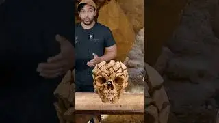 The skull that changes the theory of evolution . #shorts