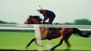 M3 Racing | Promotional Video | Tom Clover Racing