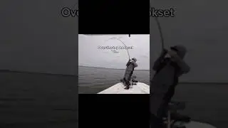 This is how hard you should set the HOOK!😤💀 #fishing #shorts