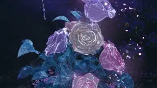 🎬Whimsical Reverie | 