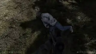 Survival Game For The Enthusiast