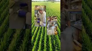 BiNG SoilSync Story #realestate #agtech #sustainability