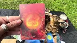 Wisdom of the Elements | Mystical Shaman Oracle Reading with Segue 1 🐾
