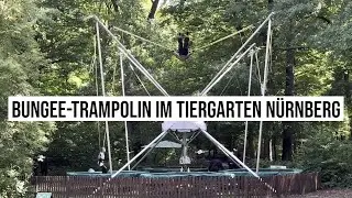 05.09.2025 N&uuml;rnberg Bungee-Trampolin Springen im Tiergarten