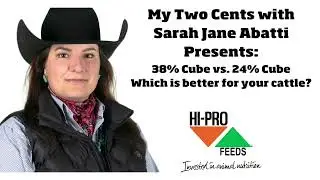 38% Cube vs. 24% Cube: Which is better for your cattle?
