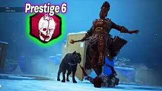 The Houndmaster Prestige 6 Mori
