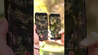 Сравнение камеры 14 pro max и 15 pro max