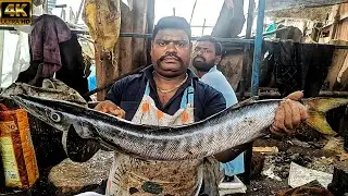 KASIMEDU 🔥 SPEED SELVAM | BIG SIZE BARRACUDA SHEELA FISH CUTTING VIDEO | 4K VIDEO | KM FISH CUTTING