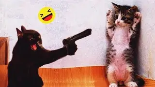 𝐘𝐨𝐮 𝐋𝐚𝐮𝐠𝐡 𝐘𝐨𝐮 𝐋𝐨𝐬𝐞 🐱😊😅𝐅𝐮𝐧𝐧𝐢𝐞𝐬𝐭 𝐃𝐨𝐠𝐬 𝐚𝐧𝐝 𝐂𝐚𝐭𝐬 𝟐𝟎𝟐6😻