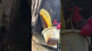 Nature Mover #Extracting Honey from Cliffs #Benefiting Humanity #Assisting Agriculture#02238