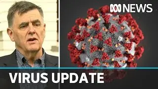 &lsquo;Early evidence of community transmission&rsquo;: Chief Medical Officer on COVID-19 response | ABC News