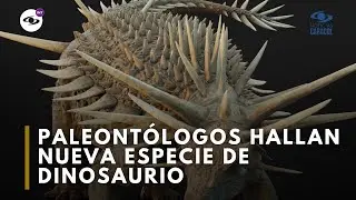 El nuevo dinosaurio africano con armadura natural que sorprende a la ciencia