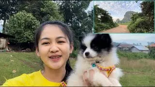 น้องนางพาทุกคนเลาะดูธรรมชาติตอนเช้าของบ้านหีนบูน อากาศดีมาก ພາທຸກຄົນເບິ່ງອາກາດຕອນເຊົ້າຂອງຫີນບູນ