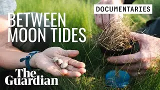 Citizen scientists hacking nature to save the saltmarsh sparrow