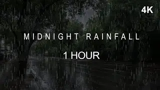 ⛈️ Rain Ambience Sounds | Night Relief for Insomnia | 1 Hour