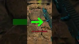 Play like the pros via MetaTrixx