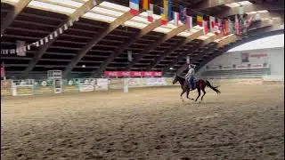 Fc strait Apache stallion Futurity prospect