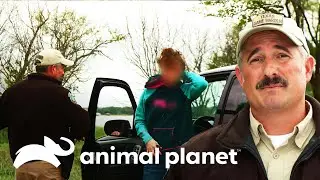 Dependente química recebe ajuda de guarda | Patrulheiros da Natureza | Animal Planet Brasil