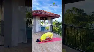 Bridge pose #yogaurmi #urmiyogaacademy #yogateacher #yogaasana #fitness #asana #fitness #yoga