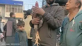 LAHORE LARI ADDA MANDI 10.12.2023