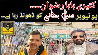 Canary singing | Bird Sounds | lalukhet birds market 2023 latest update @wowenjoyparty