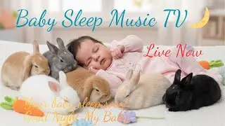 Baby Sleep Fast & Relaxing for Nighttime 🌙 ##live Stream Now #livestream #livestreamnow #livenow