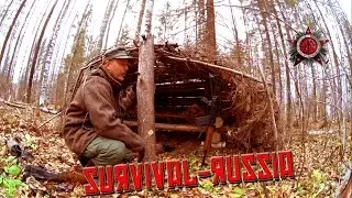 The Old Caved-In Winter Shelter