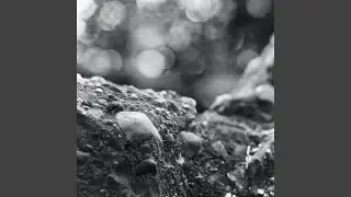 Open Sky (Edit Version)