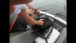 Northern Wisconsin Bass Fishing