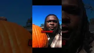 Почему тыквы не должны существовать&hellip; но существуют 🎃