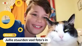 Het is Dierendag!