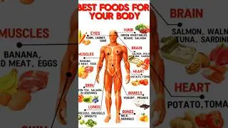 BEST FOOD FOR YOUR BODY🤔🤯,#humanbody #healthcare #healthyfood #science #health #shorts #viralvideo