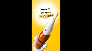 Why is Bitcoin Rallying? BTC and Crypto Pump Explained #Shorts