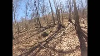 Cookies Chaos 4/6/14 (VFC M27 IAR)