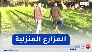 الطارف: المزارع المنزلية بالمناطق الجبلية ..  اكتفاء ذاتي وموروث متجدد