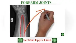 Forearm Joints Revision