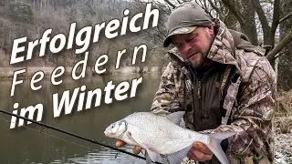 Feedern im Winter am Fluss - Die Challenge! Mit Tipps & Tricks vom Profi