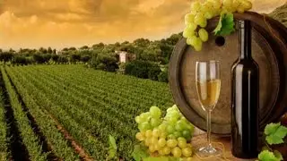 Винные погреба Италии. Cantine Aperte