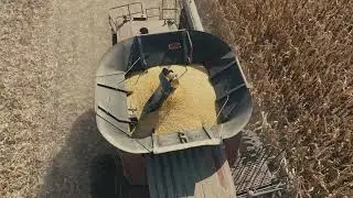 I Combined Corn on South Pines and Got SHOCKING Results!
