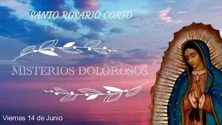 Santo Rosario corto de hoy viernes 14 de junio | Misterios Dolorosos 🌹🌷